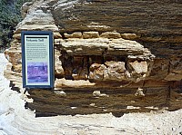 Fosile butte (24).JPG